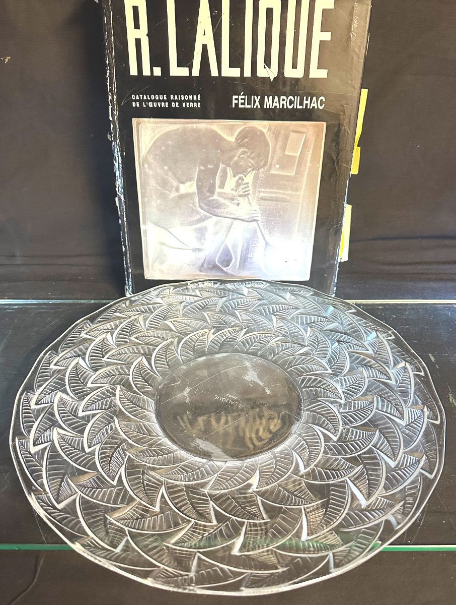 Rene LALIQUE Grand plat assiette ORMEAUX No1 Signé 1931 Art Deco 35cm Referencé Marcilhac 