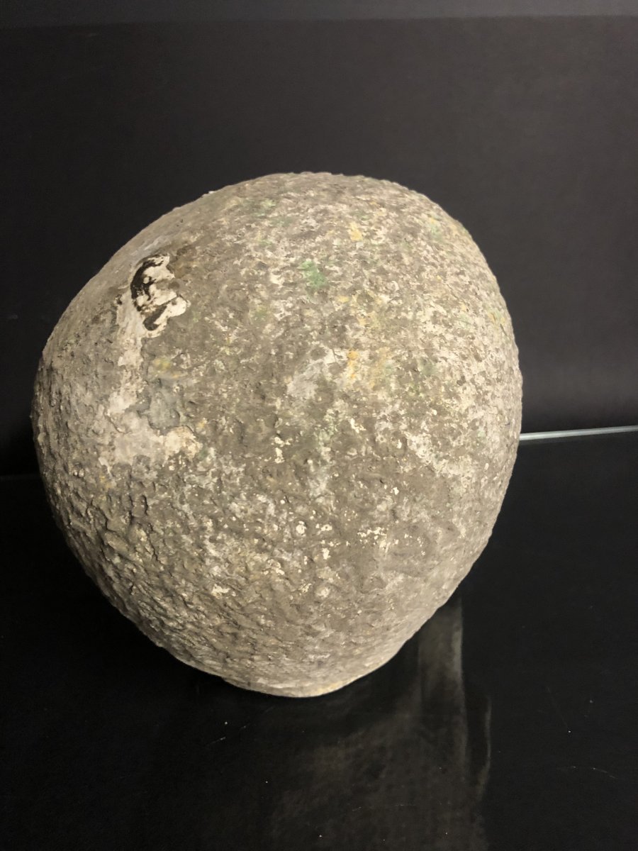 Ancient Crane Vanity Stone Reconstituted Memento Mori Head Skull Curiosity-photo-4