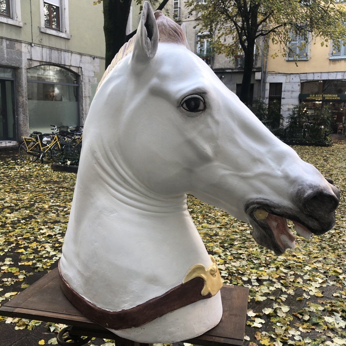 ENORME Tête de cheval plâtre d'atelier fin XIXe 100x85 cm d'après l'antique académie dessin-photo-5