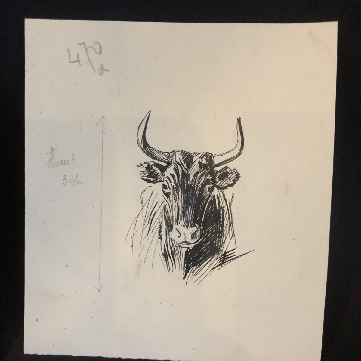 Eugène Leliepvre Drawings X2 In Ink Taurus Camarguais And Trident By Gardian Arles Camargue /a-photo-2