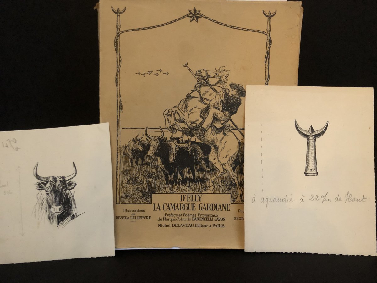 Eugène Leliepvre Drawings X2 In Ink Taurus Camarguais And Trident By Gardian Arles Camargue /a-photo-2