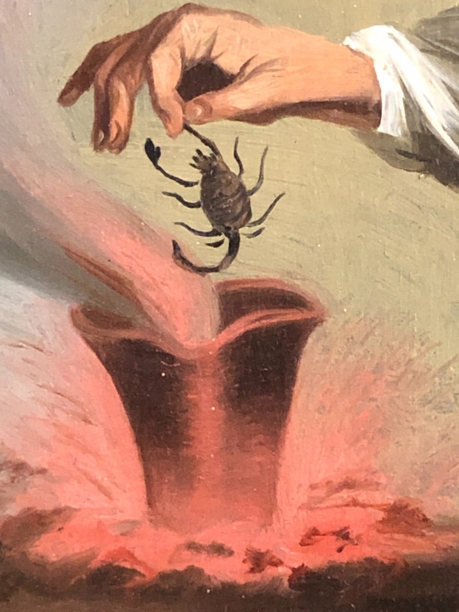 HUILE XIXe CABINET DE CURIOSITÉS Potion de sorcier au scorpion curiosité memento mori crâne-photo-6
