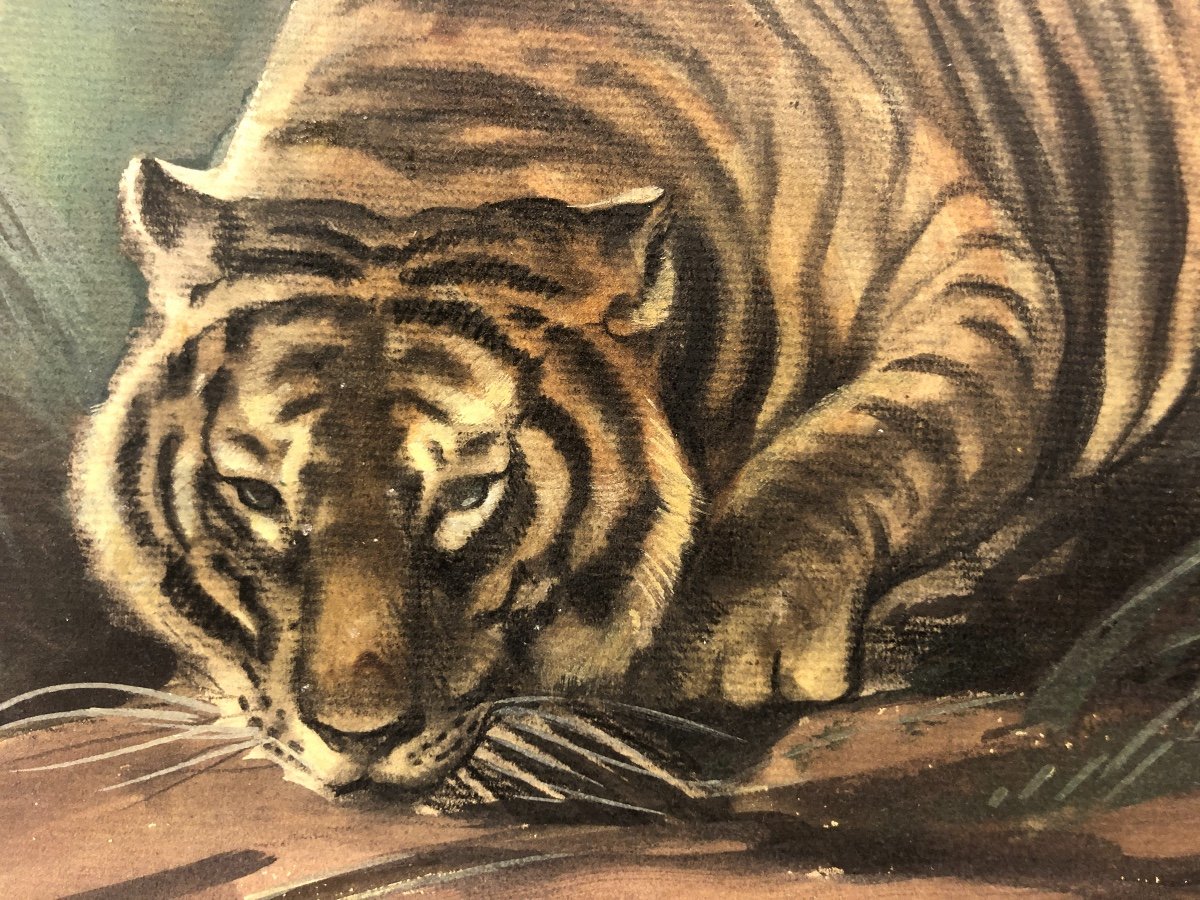 Georges Frederic Rotig Rare Gouache Tiger And Wolves Art Deco-photo-4