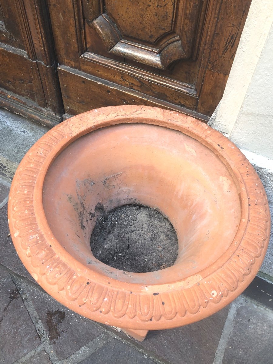 Important And Old Pair Of Medici Vases 70 Cm In Terracotta Late Nineteenth-photo-4