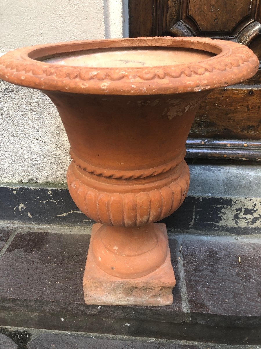 Important And Old Pair Of Medici Vases 70 Cm In Terracotta Late Nineteenth-photo-3