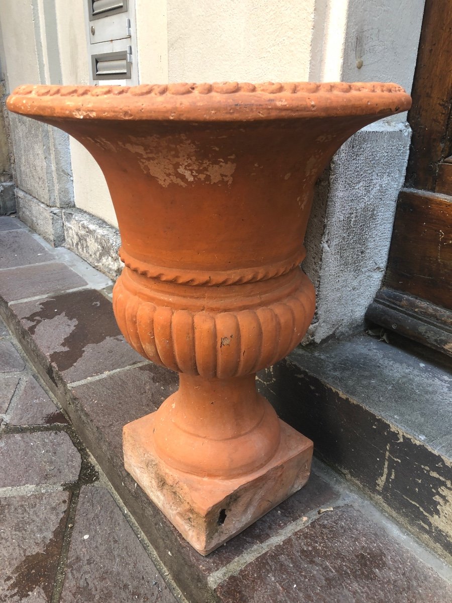 Important And Old Pair Of Medici Vases 70 Cm In Terracotta Late Nineteenth-photo-4