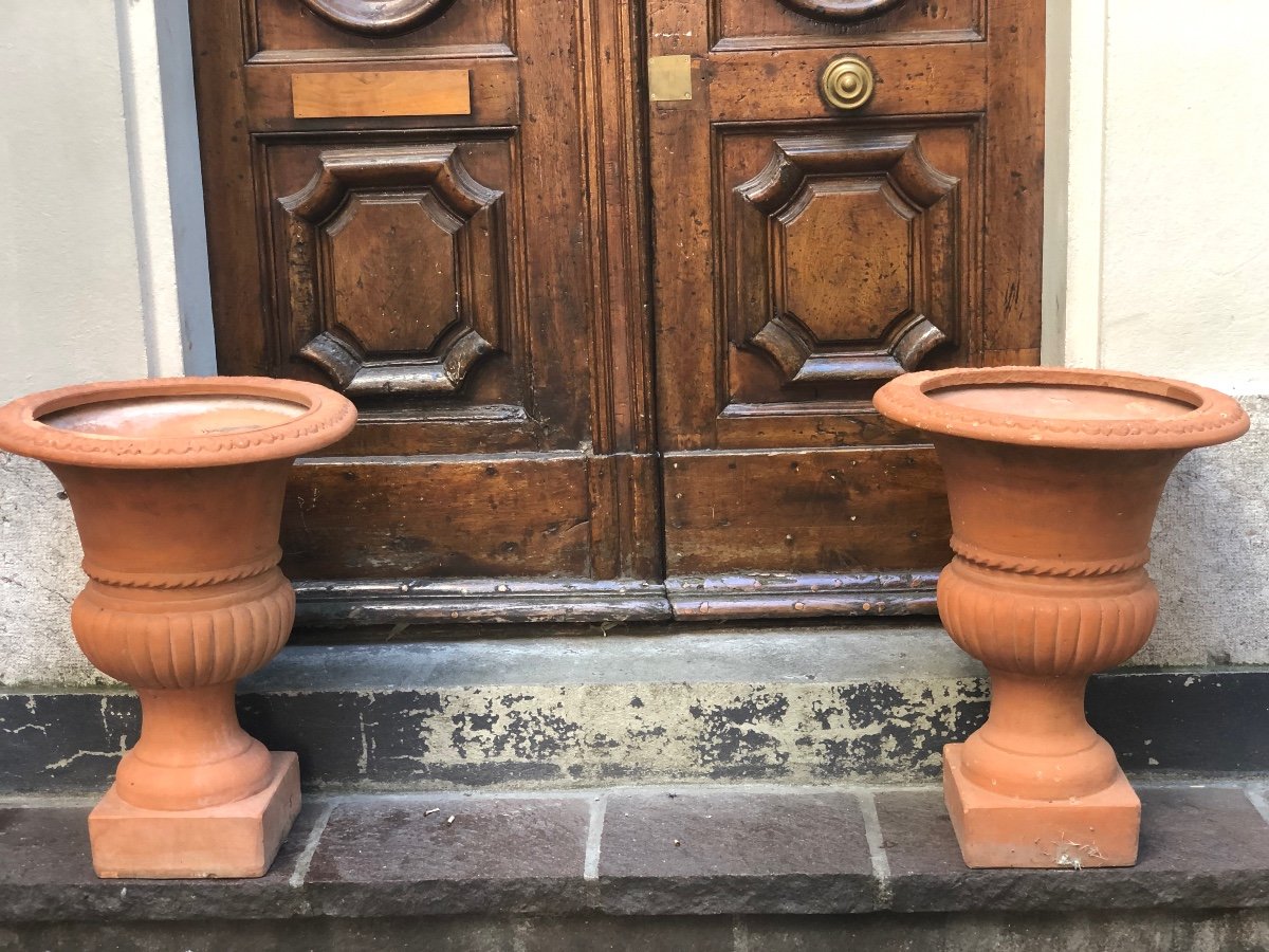 Important And Old Pair Of Medici Vases 70 Cm In Terracotta Late Nineteenth-photo-6