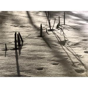 Georges BOYER Lyon XXe Photographie Trace dans la neige Photo /34