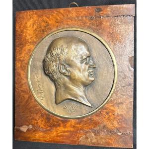 David d'ANGERS 1788-1856 Médaillon en bronze 1831 Geoffroy Saint Hilaire sculpture /3