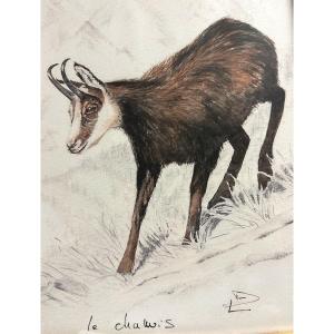 Aquarelle CHAMOIS signée L.D. XXe Montagne Alpes chasse