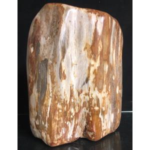 Important Wood Fossil Petrified Fossilized Meditation Mountain Zen Garden Buddha