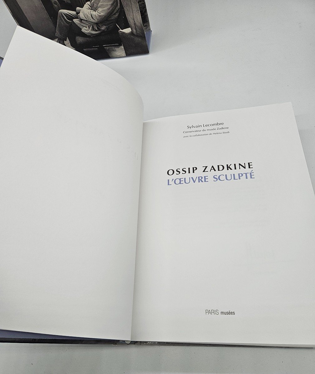 Ossip Zadkine : Catalogue Raisonné De l'œuvre Paris Musées 1994-photo-2