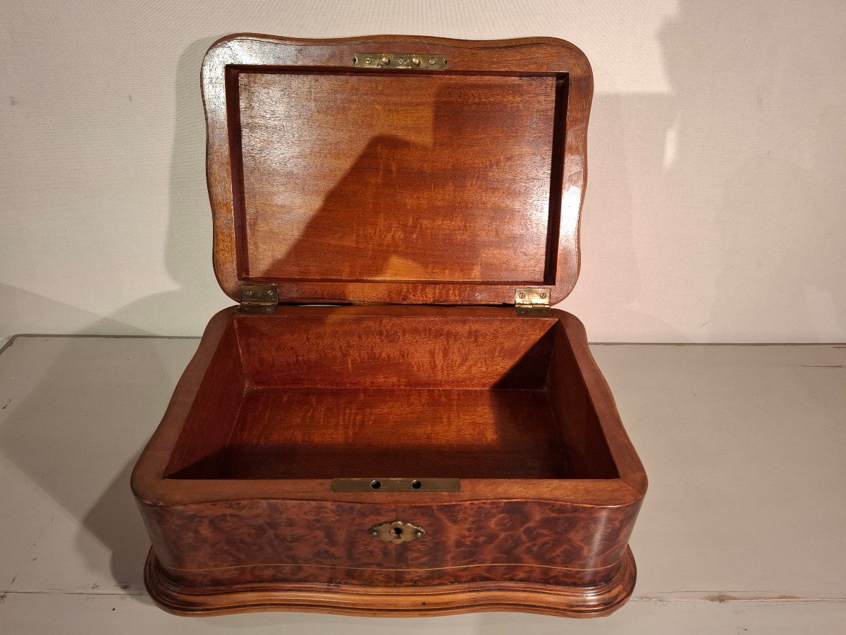 19th Century Light Wood And Thuya Burl Marquetry Box.-photo-2