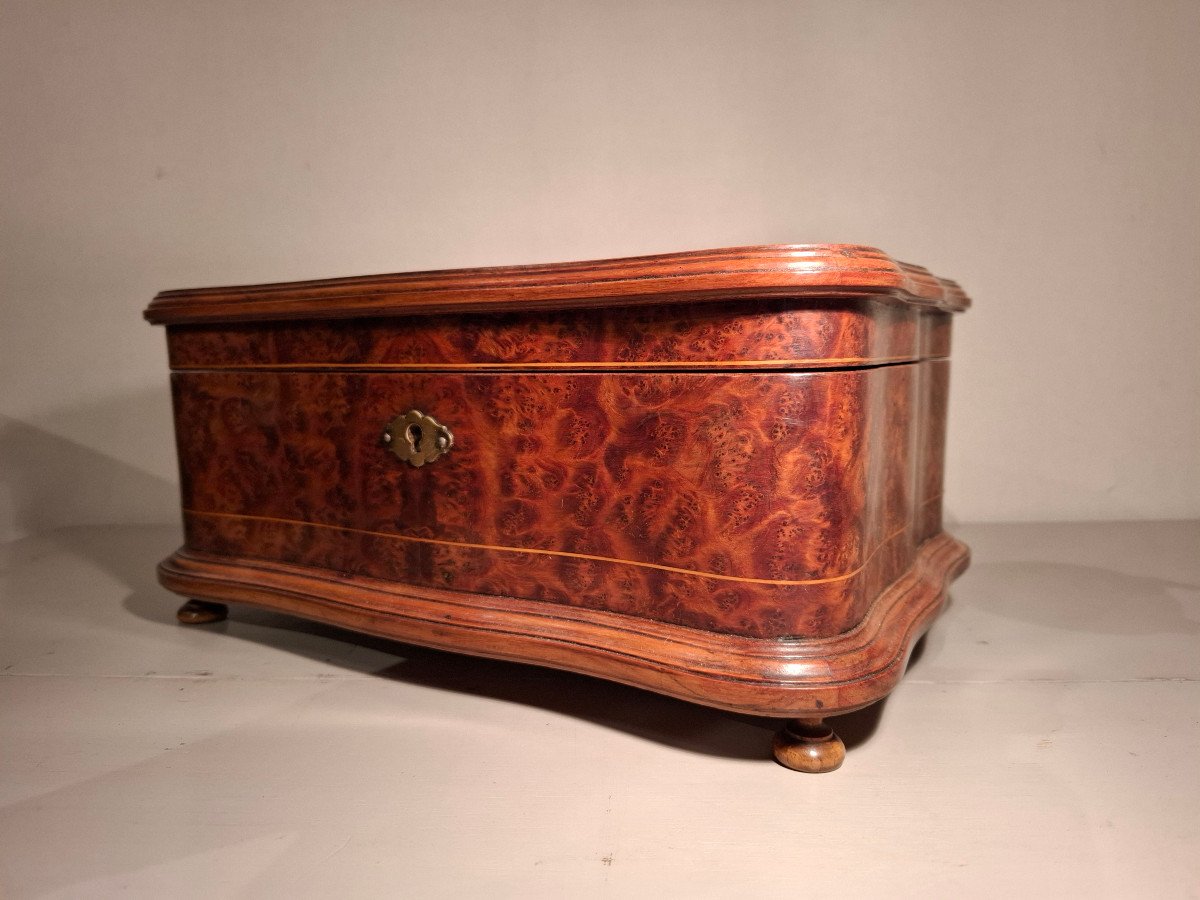 19th Century Light Wood And Thuya Burl Marquetry Box.-photo-5