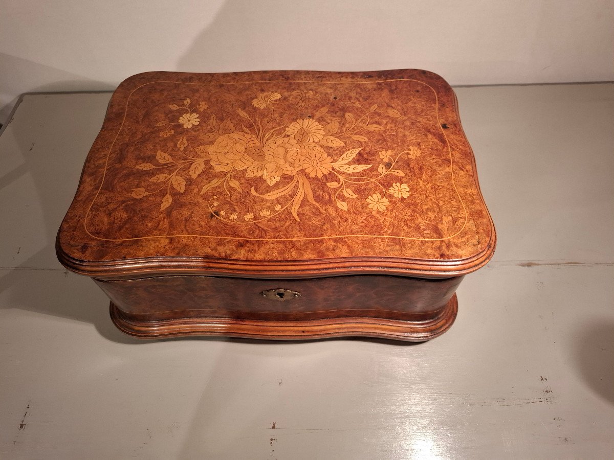 19th Century Light Wood And Thuya Burl Marquetry Box.