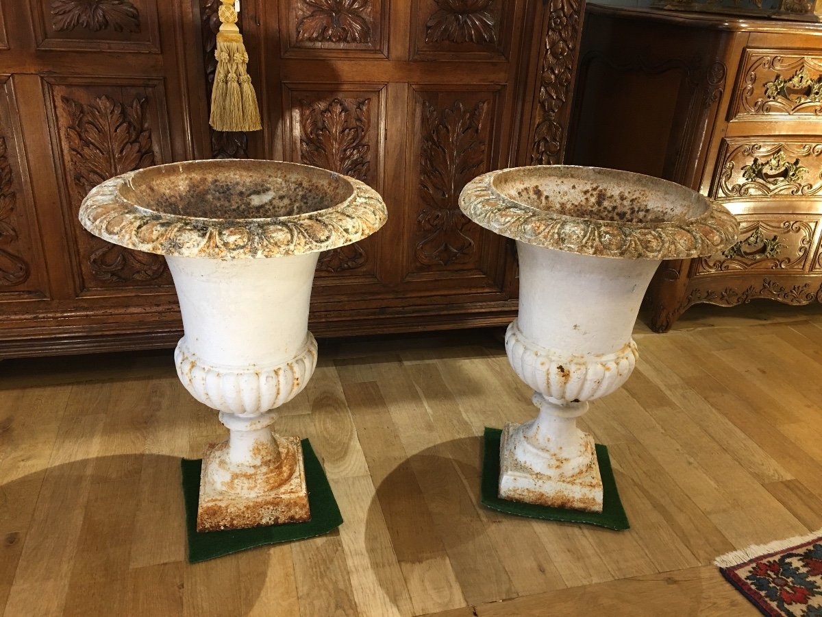 Pair Of Medici Cast Iron Vases, 19th Century-photo-2