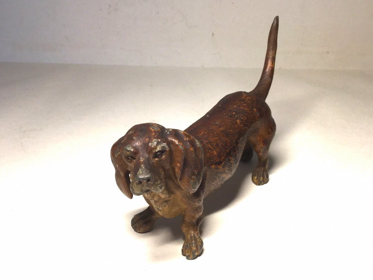 Dachshund Dog ?? Lead From Nuremberg, Late 19th Century.-photo-2