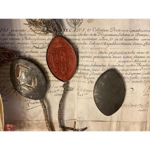 Two Manuscripts On Vellum And Their Seals, Dated 1709 And 1710. Diploma Of A Doctor.