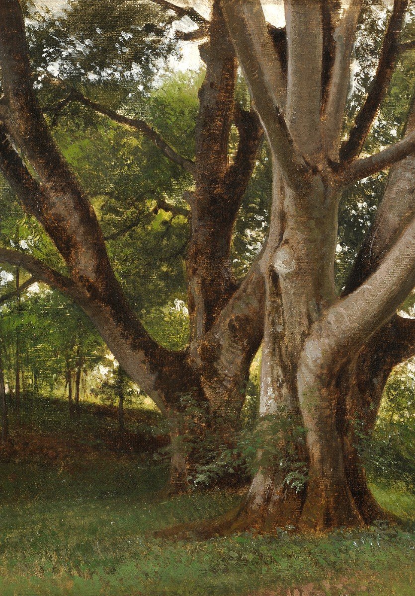 Frédérik Rohde (1816-1886) Beech Trees In The Park Of Fredensborg Castle Trees Danmark-photo-3