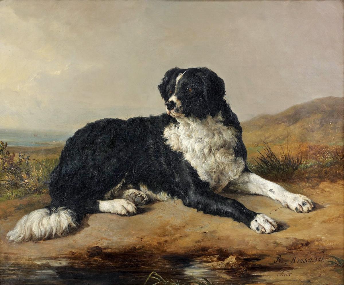 Jacques Brascassat (1804-1867) - Le chien de l’artiste-photo-2