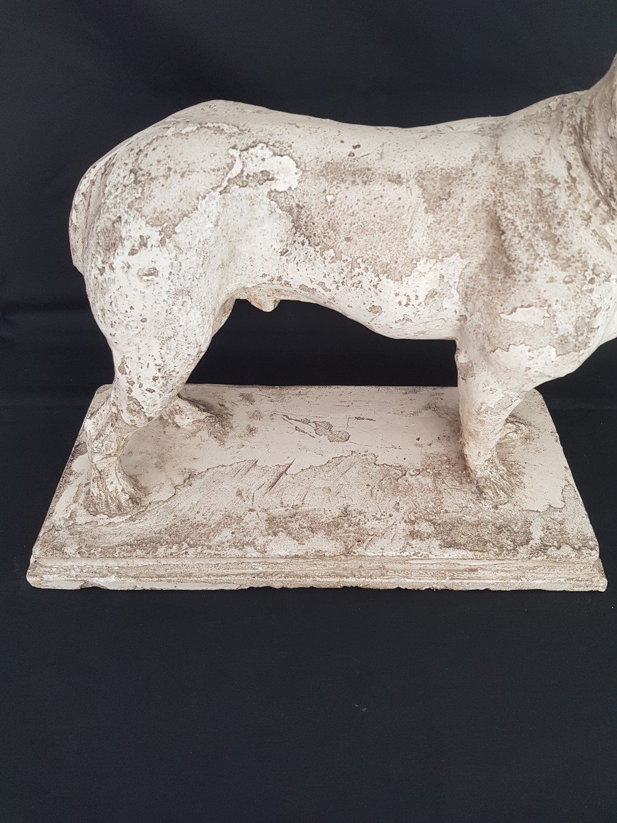 Pug Or Bulldog Plaster Statue 19 Eme.-photo-8