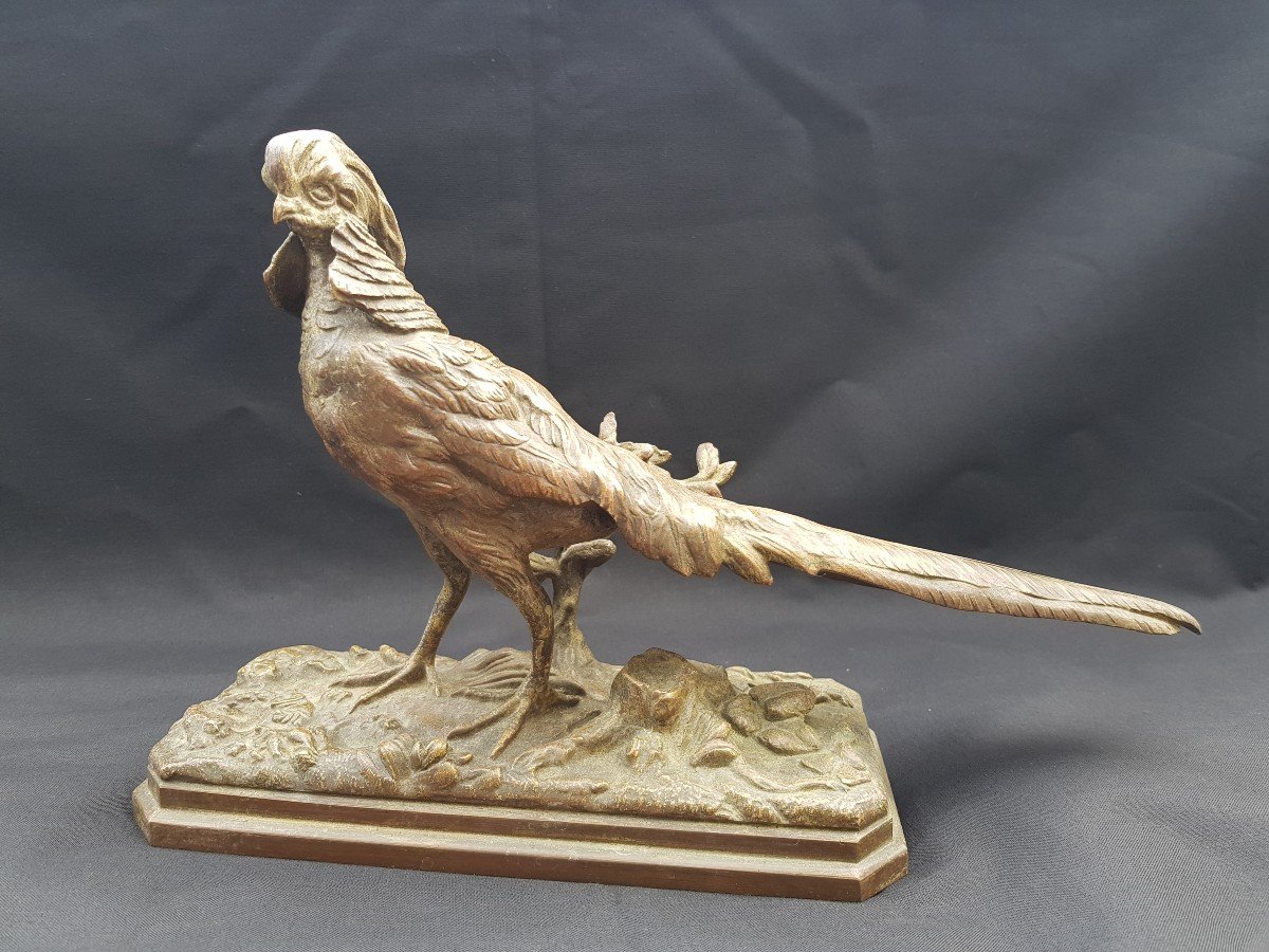 Revered Pheasant Bronze 19 Eme By Henri Emile Adrien Trodoux