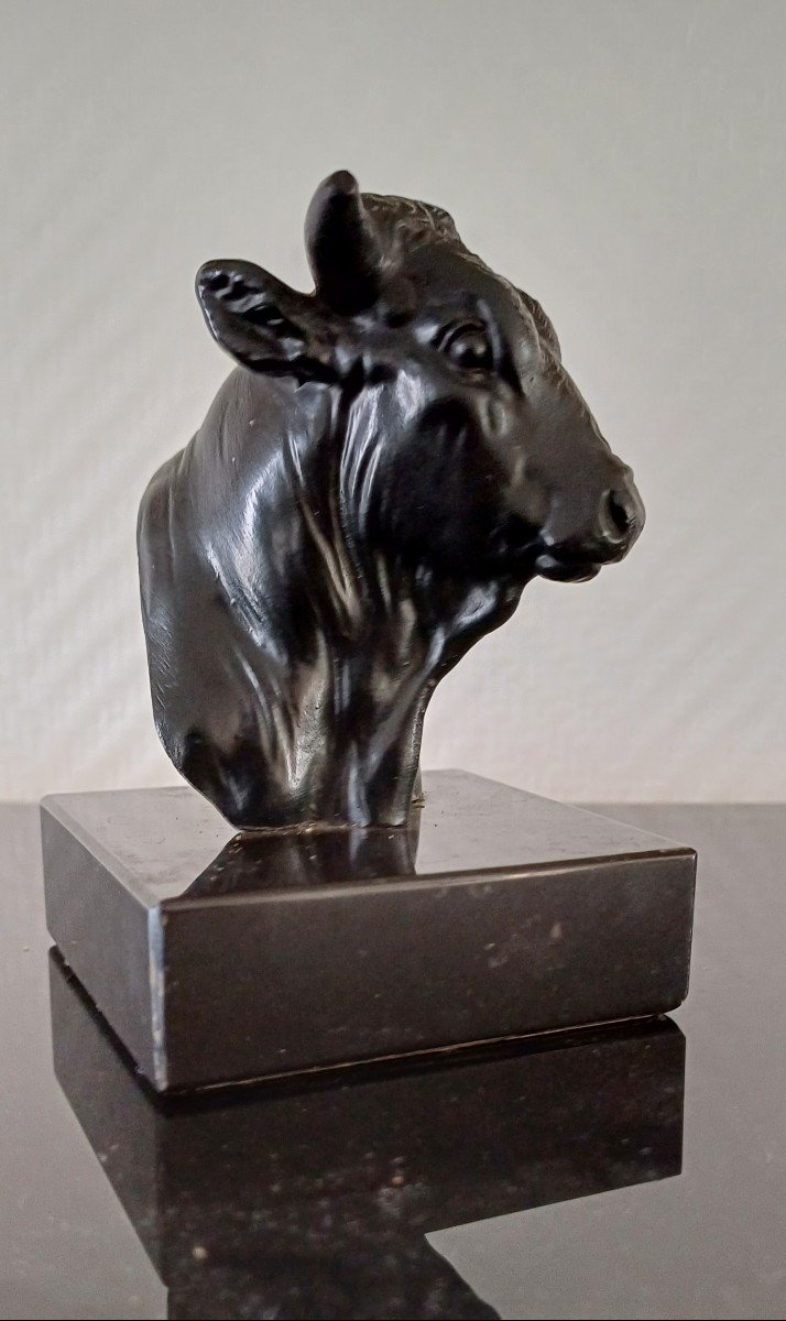 Bronze Representation Of A Bull's Head -photo-3