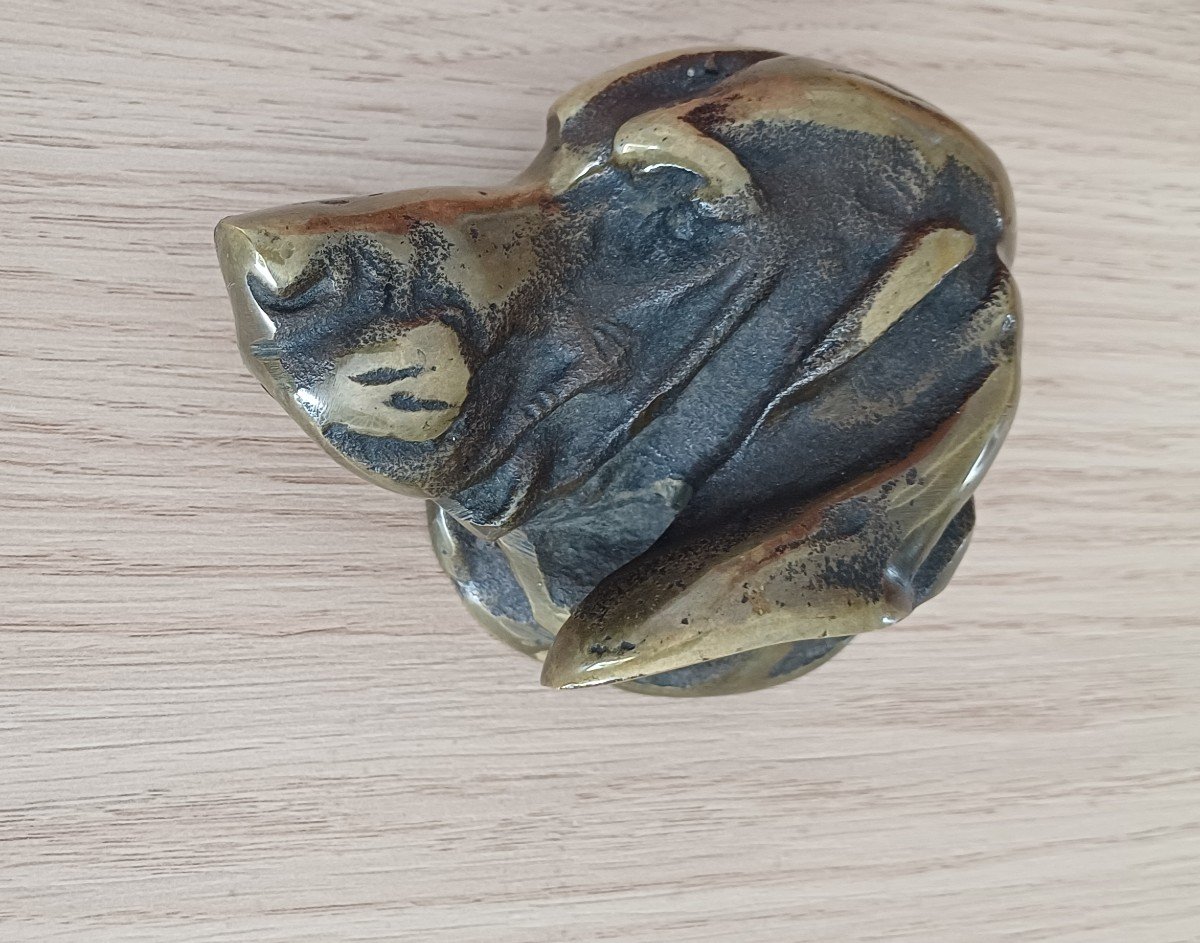 Bronze Paperweight With A Hound's Head, Hunting Dog -photo-2