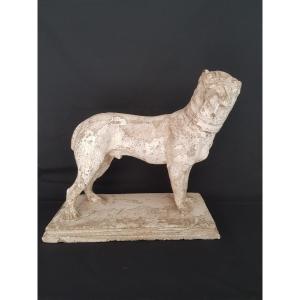 Pug Or Bulldog Plaster Statue 19 Eme.