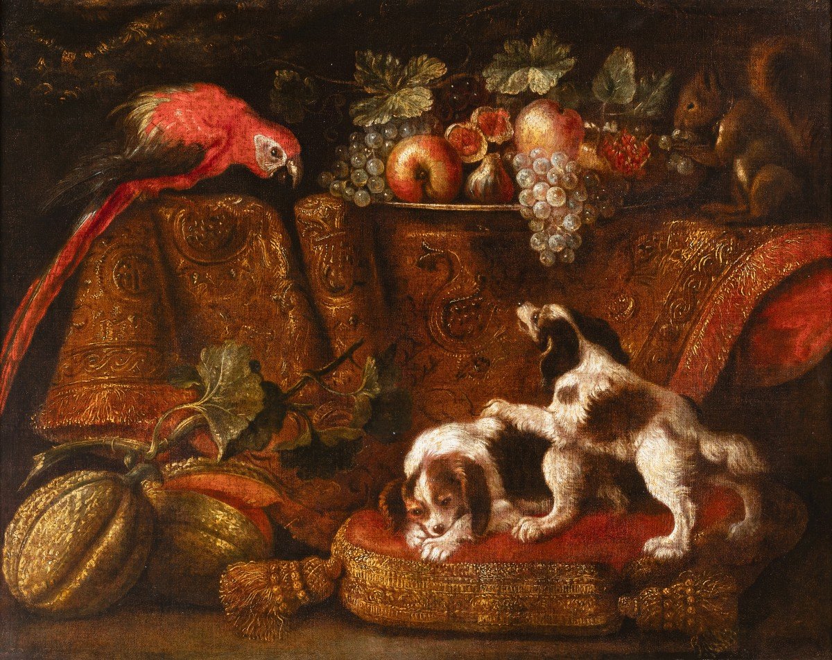 Still Life With Macaw, Squirrel And Spaniels  - Attributed To Reynaud Levieux (1613-1690)-photo-2