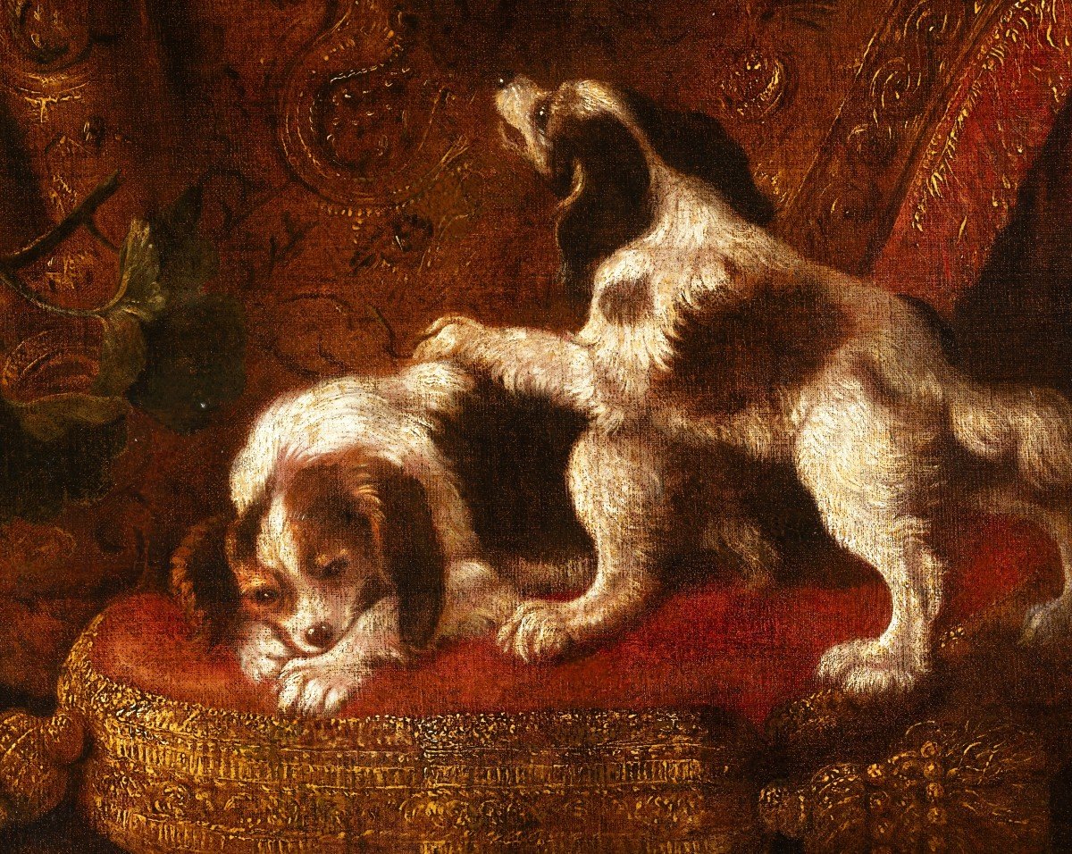 Still Life With Macaw, Squirrel And Spaniels  - Attributed To Reynaud Levieux (1613-1690)-photo-3