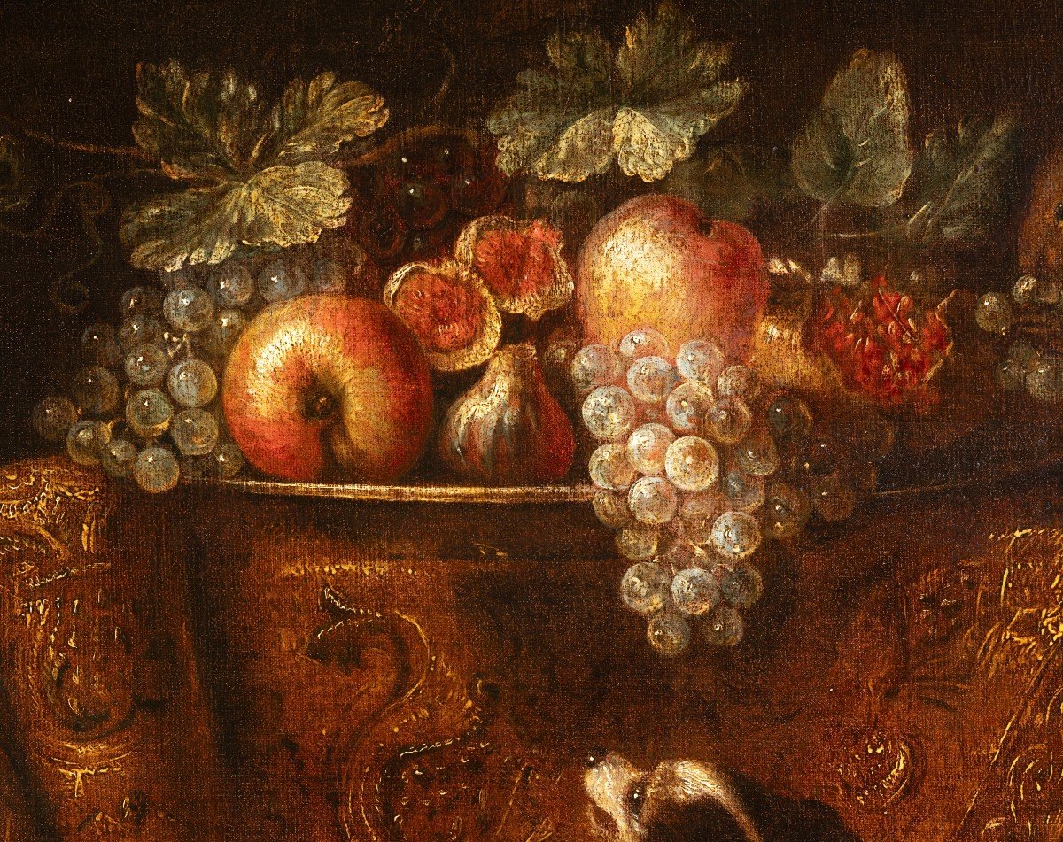 Nature Morte Avec Ara, écureuil Et épagneuls - Attribué à Reynaud Levieux (1613-1690)-photo-4