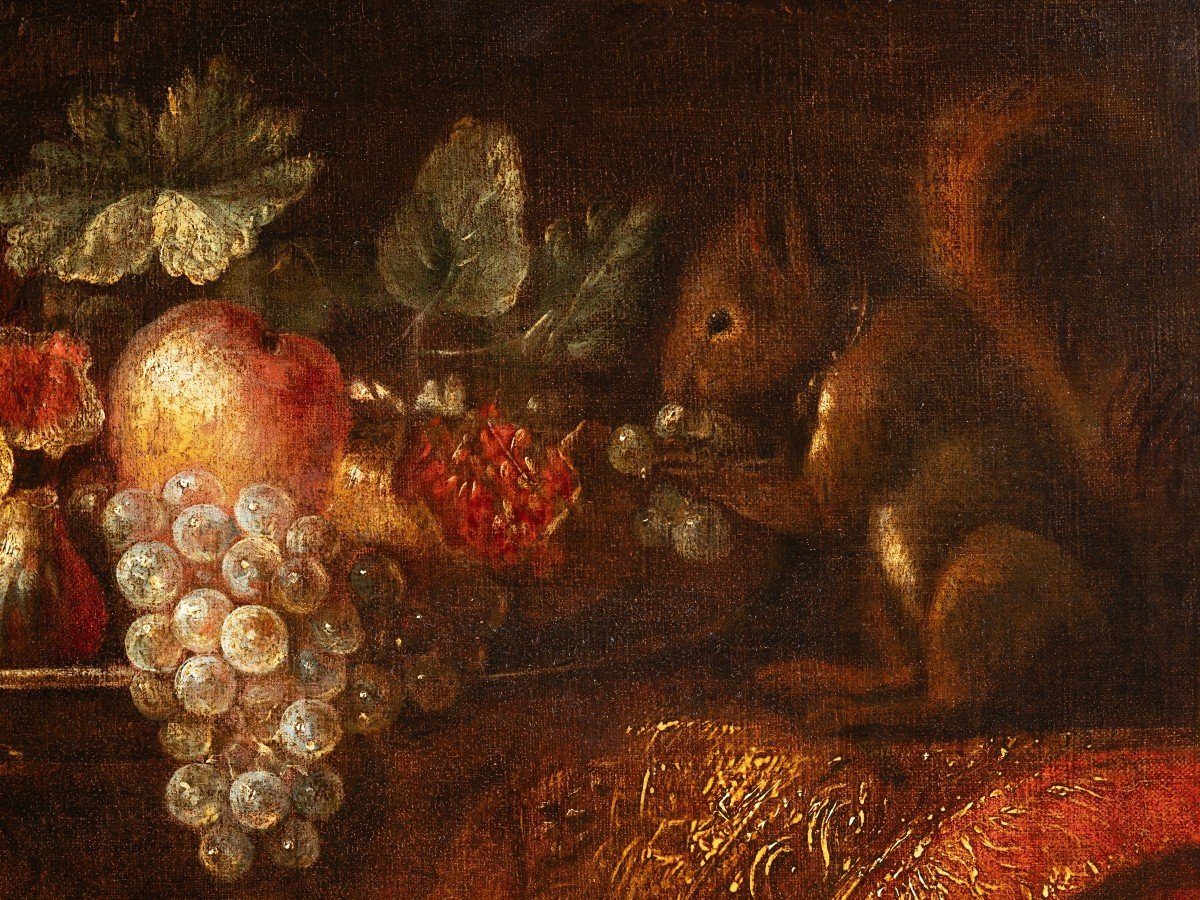 Nature Morte Avec Ara, écureuil Et épagneuls - Attribué à Reynaud Levieux (1613-1690)-photo-1