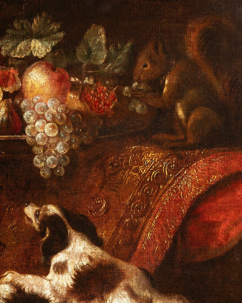 Still Life With Macaw, Squirrel And Spaniels  - Attributed To Reynaud Levieux (1613-1690)-photo-3