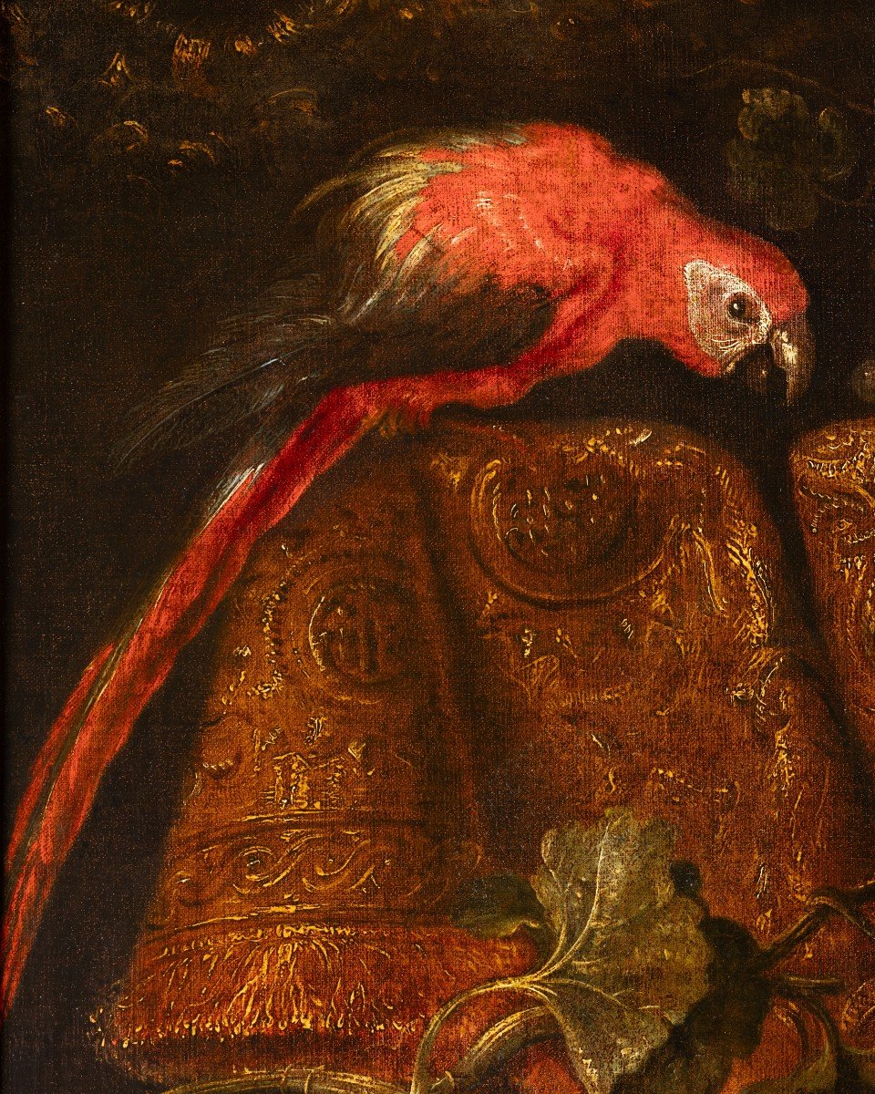 Still Life With Macaw, Squirrel And Spaniels  - Attributed To Reynaud Levieux (1613-1690)-photo-4