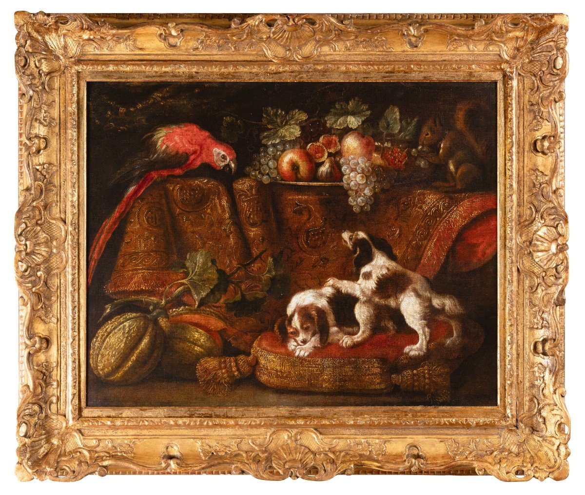 Still Life With Macaw, Squirrel And Spaniels  - Attributed To Reynaud Levieux (1613-1690)