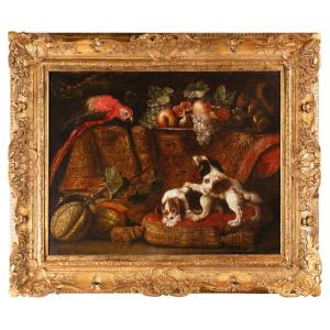 Nature Morte Avec Ara, écureuil Et épagneuls - Attribué à Reynaud Levieux (1613-1690)