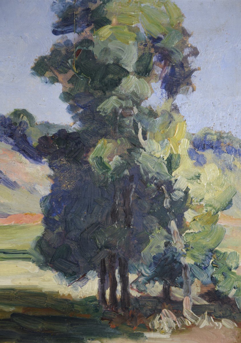 Jean -Louis Daniel ( 1861-1929) "paysage vallonné du Périgord" ,huile sur panneau-photo-2