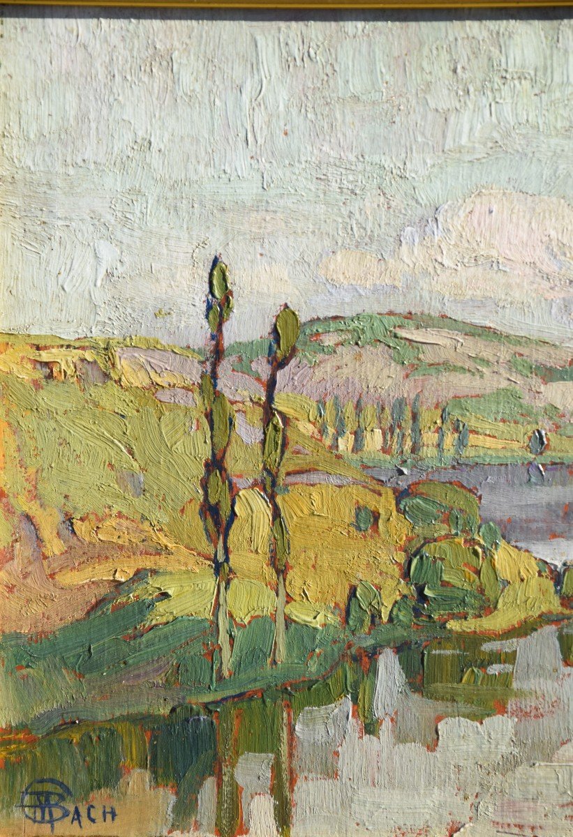 Marcel Bach ( 1879-1950), " La vallée du Lot " , huile sur panneau-photo-6