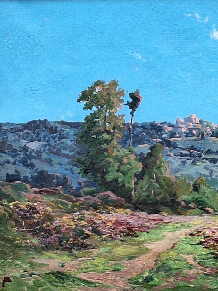 Ferdinand David (1860-1944),"Vallée du Lot à Penne d'Agenais "huile sur toile -photo-4