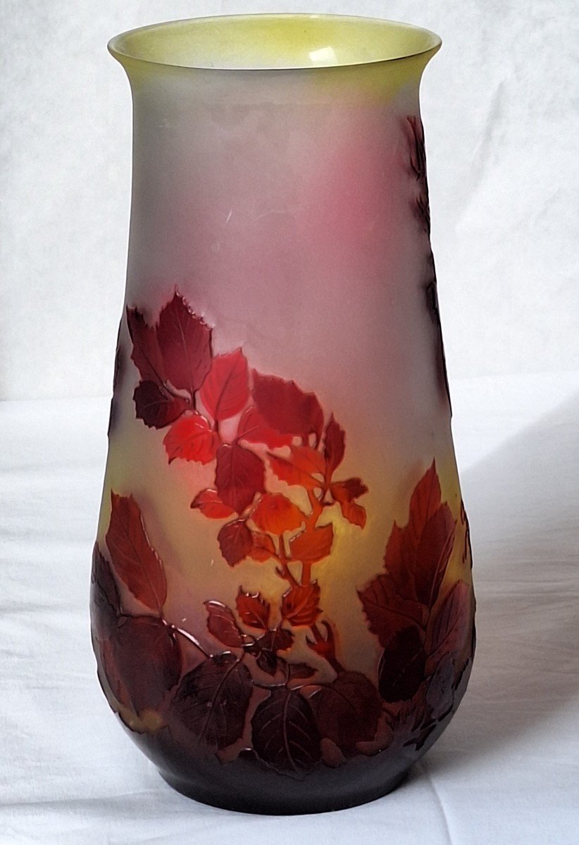 Gallé Vase, Wild Rose Decor -photo-4