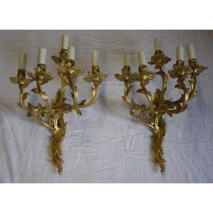 Pair Of Gilt Bronze Sconces, 5 Arms Of Light, Louis XV Style, Electrified. 