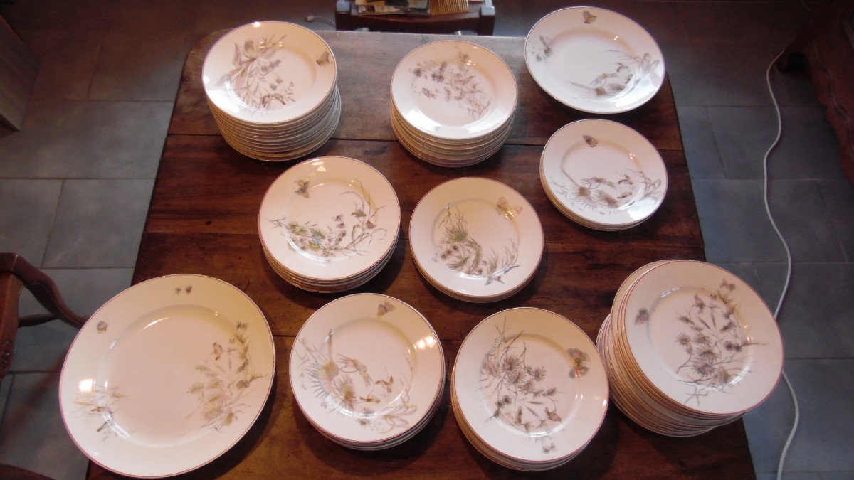 57 Piece Art Nouveau Paris Porcelain Service With Bird, Butterfly And Plant Decor-photo-2