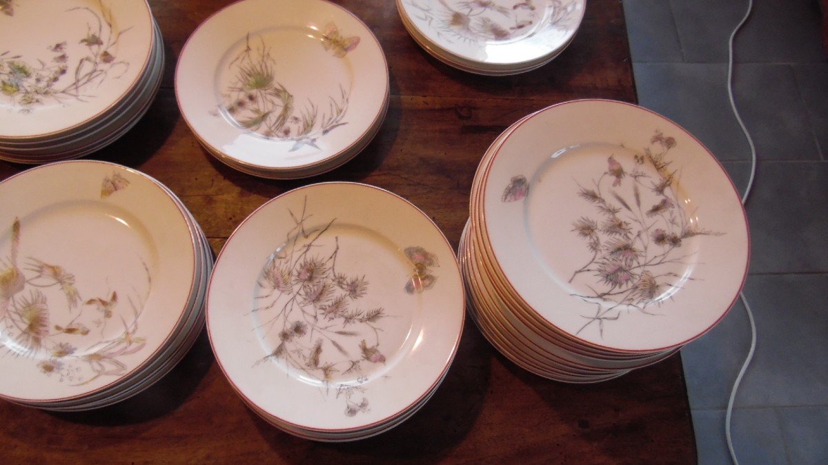 57 Piece Art Nouveau Paris Porcelain Service With Bird, Butterfly And Plant Decor-photo-3