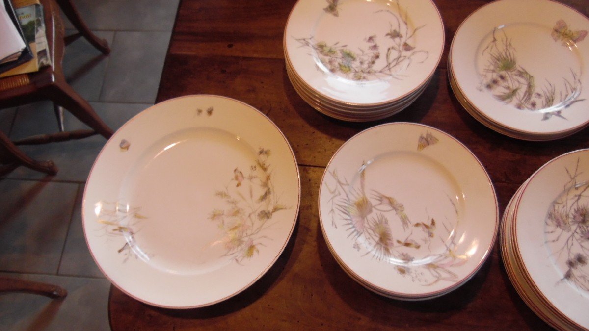 57 Piece Art Nouveau Paris Porcelain Service With Bird, Butterfly And Plant Decor-photo-4