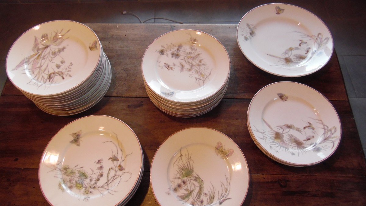 57 Piece Art Nouveau Paris Porcelain Service With Bird, Butterfly And Plant Decor-photo-1