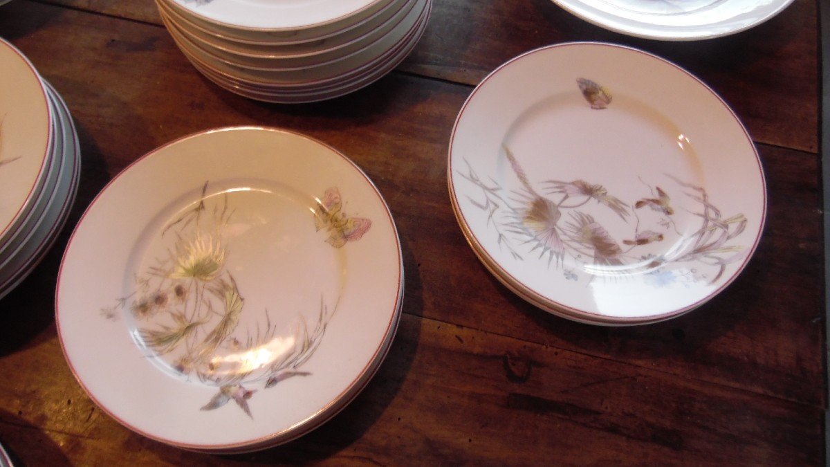 57 Piece Art Nouveau Paris Porcelain Service With Bird, Butterfly And Plant Decor-photo-2