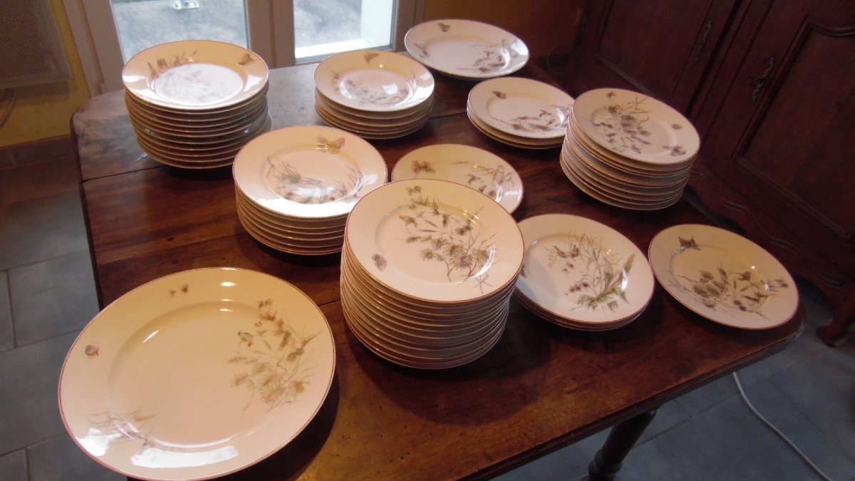 57 Piece Art Nouveau Paris Porcelain Service With Bird, Butterfly And Plant Decor