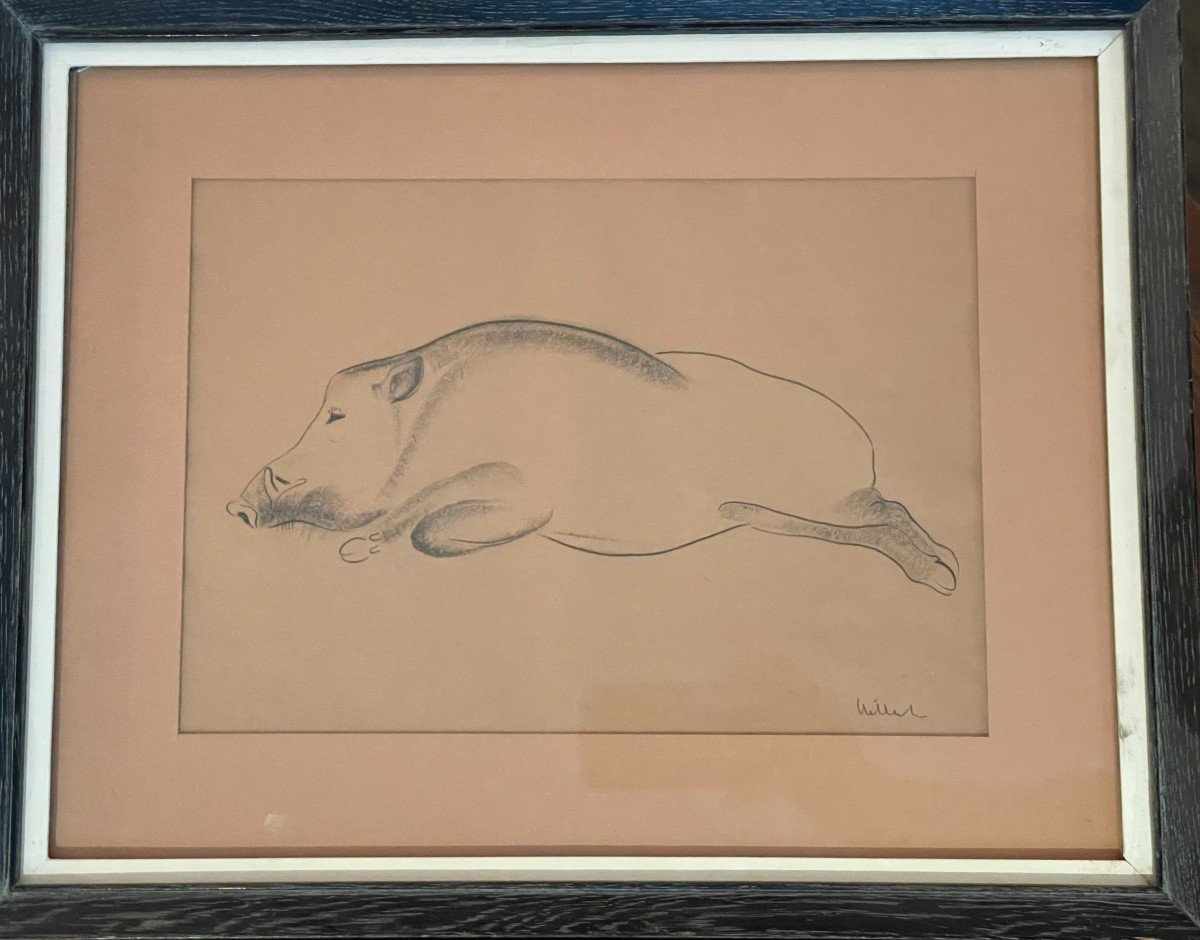 "boar".    Drawing From The 30s By Georges Hilbert