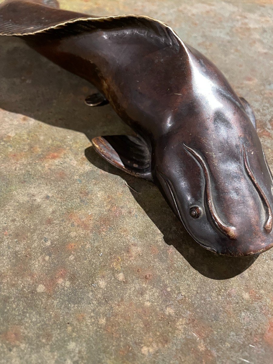 Catfish. Japanese Bronze Late 19th Century-photo-4